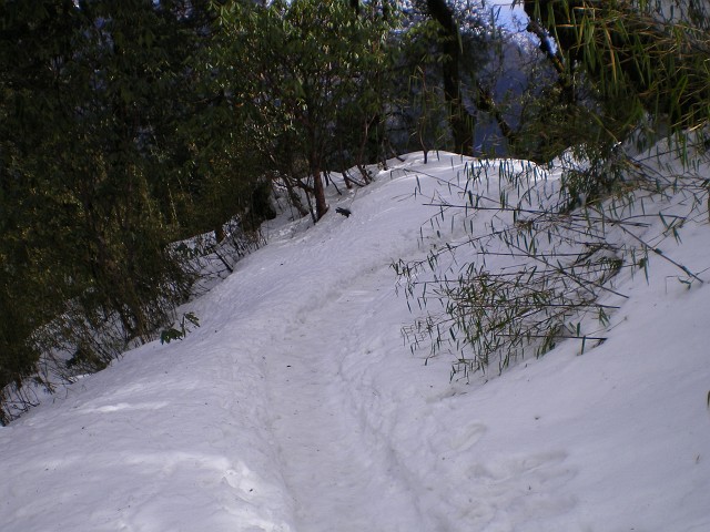 Nepal February March 2007 250